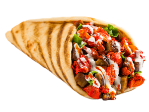 Combo gyro / Kombinasjonsgyros